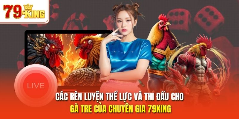 Các rèn luyện thể lực và thi đấu cho gà tre của chuyên gia 79King