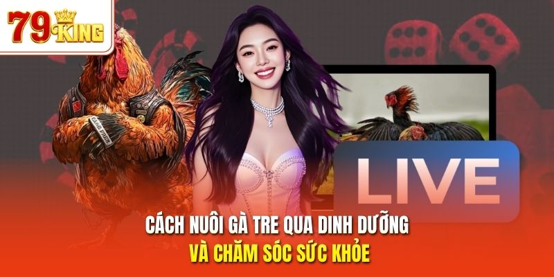 Cách nuôi gà tre qua dinh dưỡng và chăm sóc sức khỏe