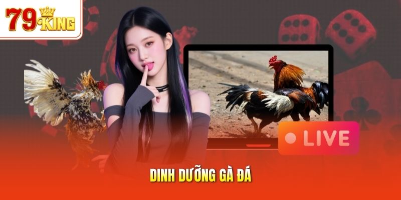 Dinh dưỡng gà đá